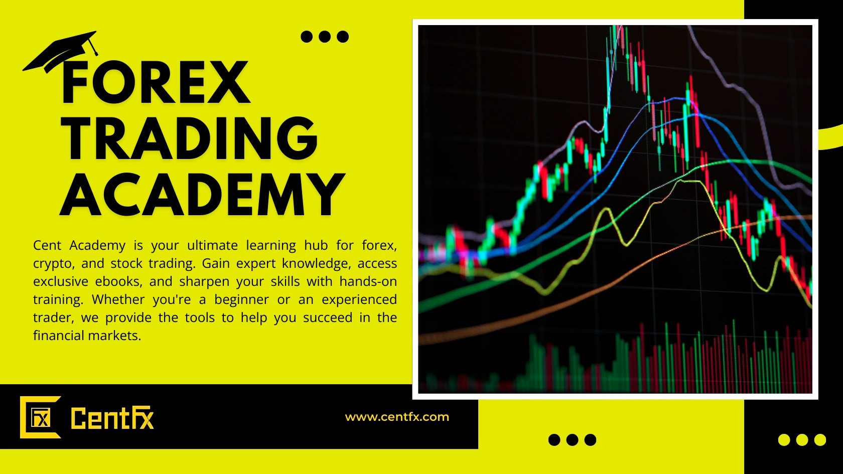 Forex savdo akademiyasi